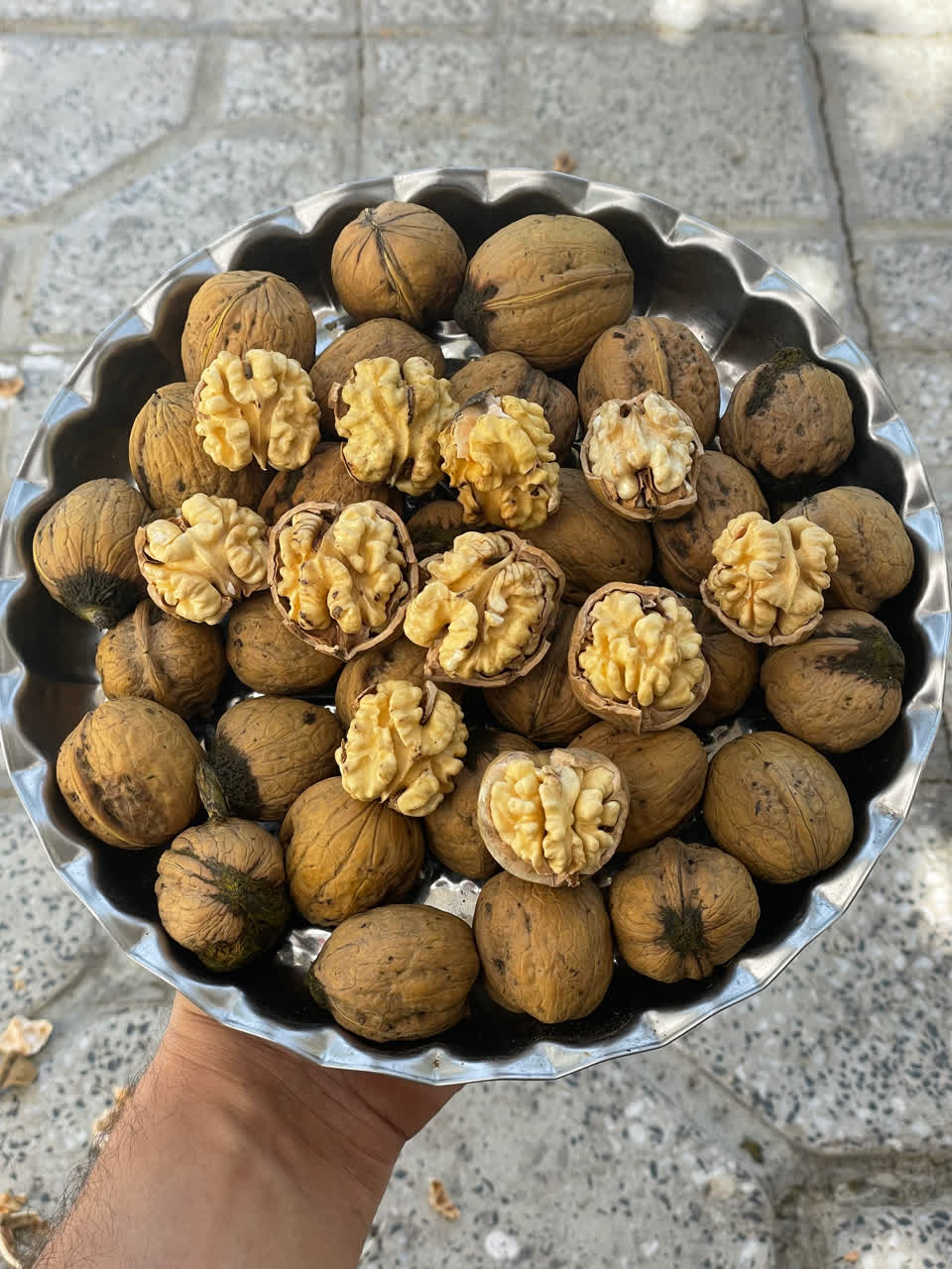 گردو نیمه خشک